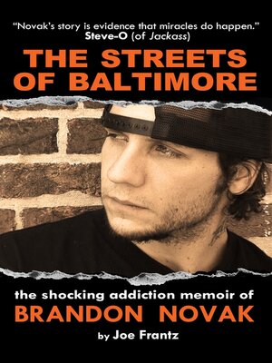 cover image of The Streets of Baltimore